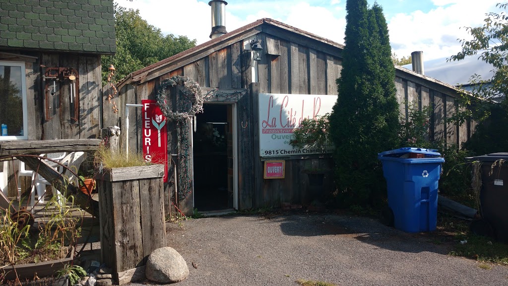 Cite Des Roses | 9815 Chemin de Chambly, Saint-Hubert, QC J3Y 5K2, Canada | Phone: (450) 656-8595