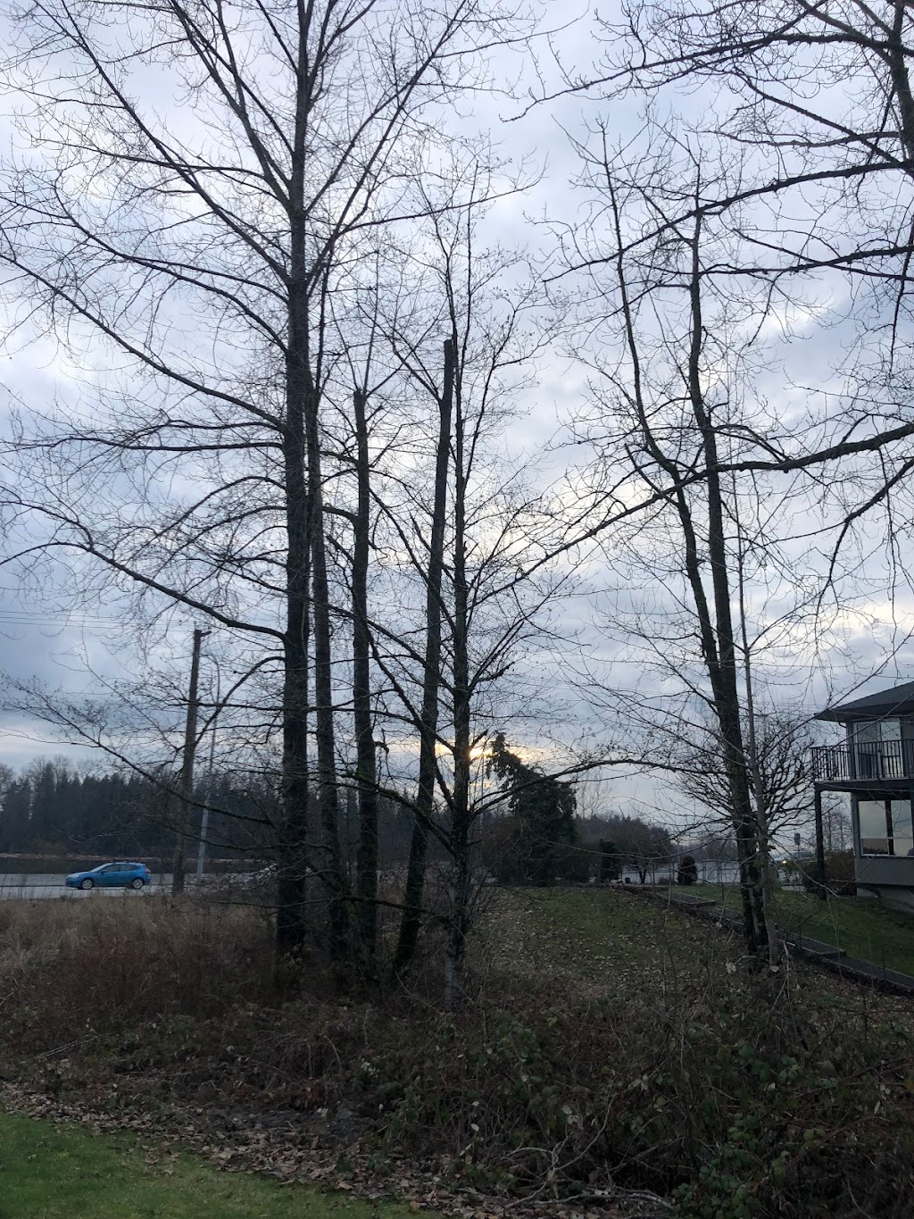 Brickwood Park | Maple Ridge, BC V2X 6E2, Canada | Phone: (604) 467-7346