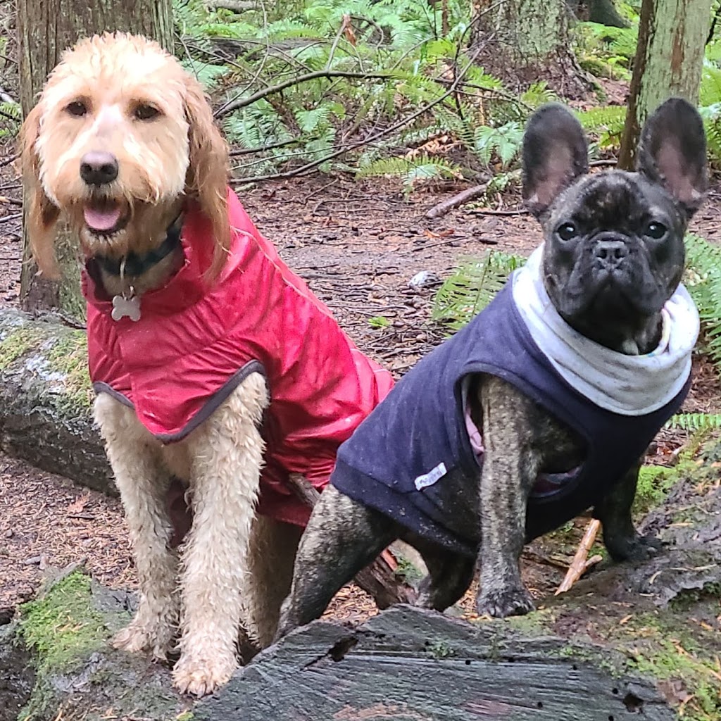 Dog Days Dog Walking | Crescent Rd, Surrey, BC V4A 5R7, Canada | Phone: (506) 470-8856