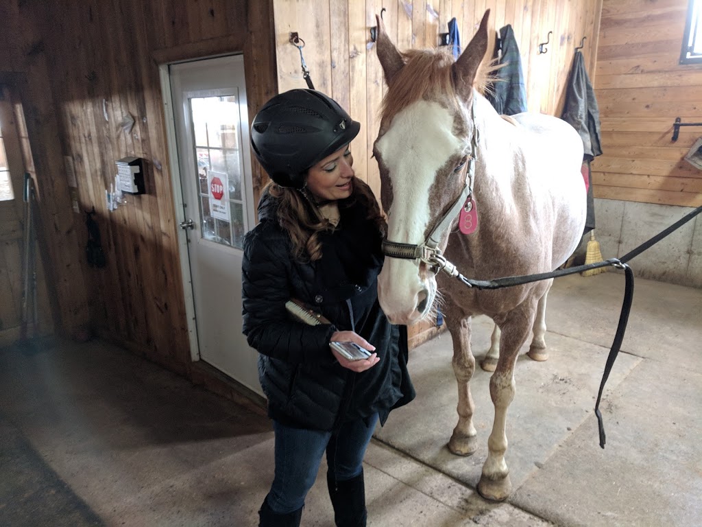 Lenka Equestrian Centre | 750 Concession 8 W, Puslinch, ON N0B 2J0, Canada | Phone: (905) 629-2238