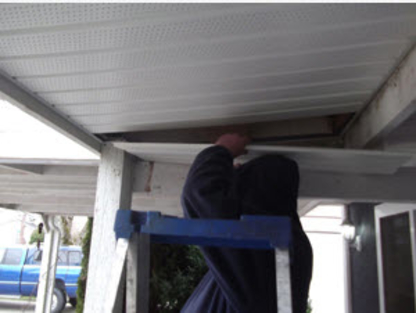 Busy Bee Gutter | 5280 3 Ave, Delta, BC V4M 1E7, Canada | Phone: (604) 788-3991