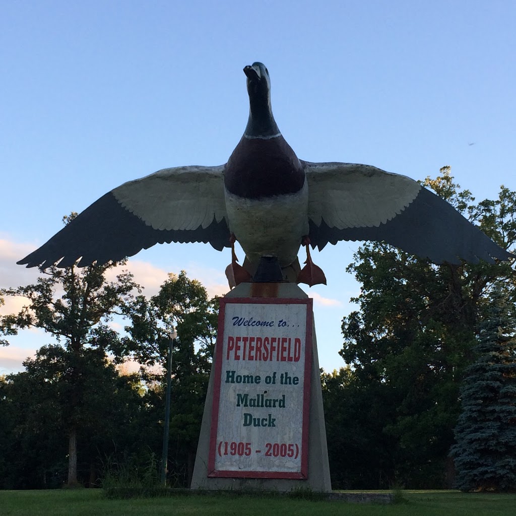 Petersfield Mallard Duck Statue | 8949 Provincial Trunk Hwy 9, Petersfield, MB R0C 2L0, Canada