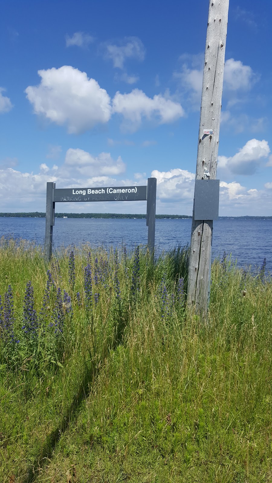 the landings marina & restaurant | 432 Long Beach Rd, Cameron, ON K0M 1G0, Canada | Phone: (705) 359-1759