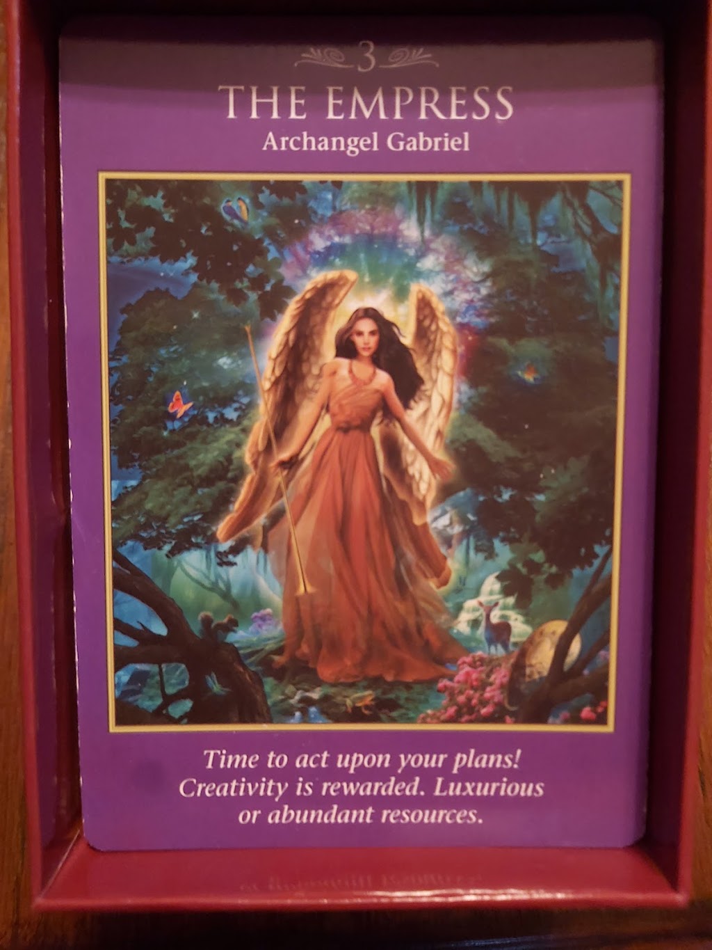 Reading by Michele | 91 Concession St, Cambridge, ON N1R 2H2, Canada | Phone: (226) 972-2225