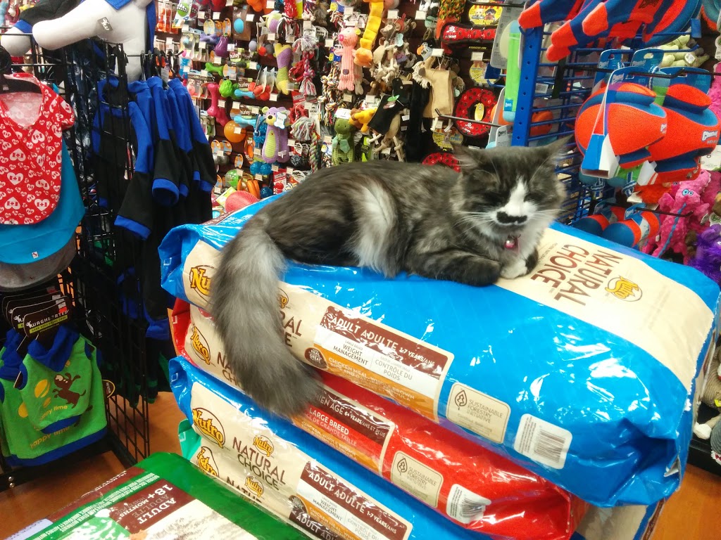 Bosleys by Pet Valu | 15428 Fraser Hwy #106, Surrey, BC V3R 3P5, Canada | Phone: (604) 589-4211