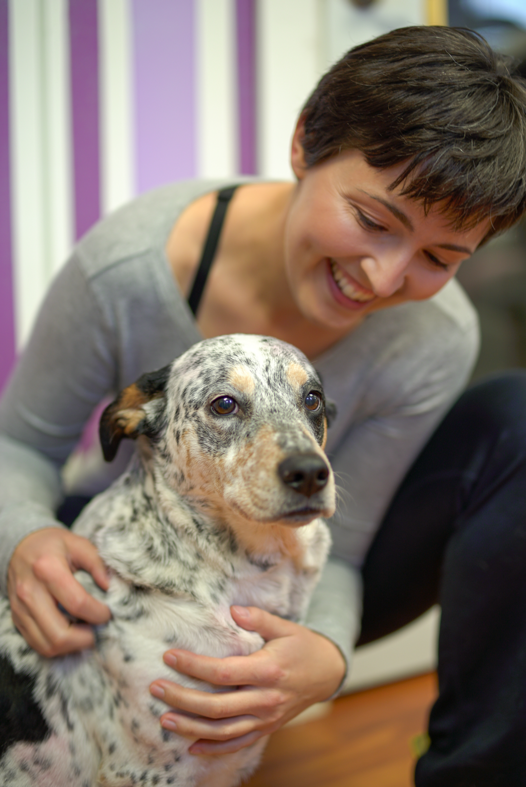 All Paws Massage | Discover Dogs, 701 Kingsway, Vancouver, BC V5T 3K6, Canada | Phone: (604) 700-4107