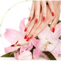Nails & Spa | 10 Keith Ave #204, Collingwood, ON L9Y 0W5, Canada | Phone: (705) 446-9999