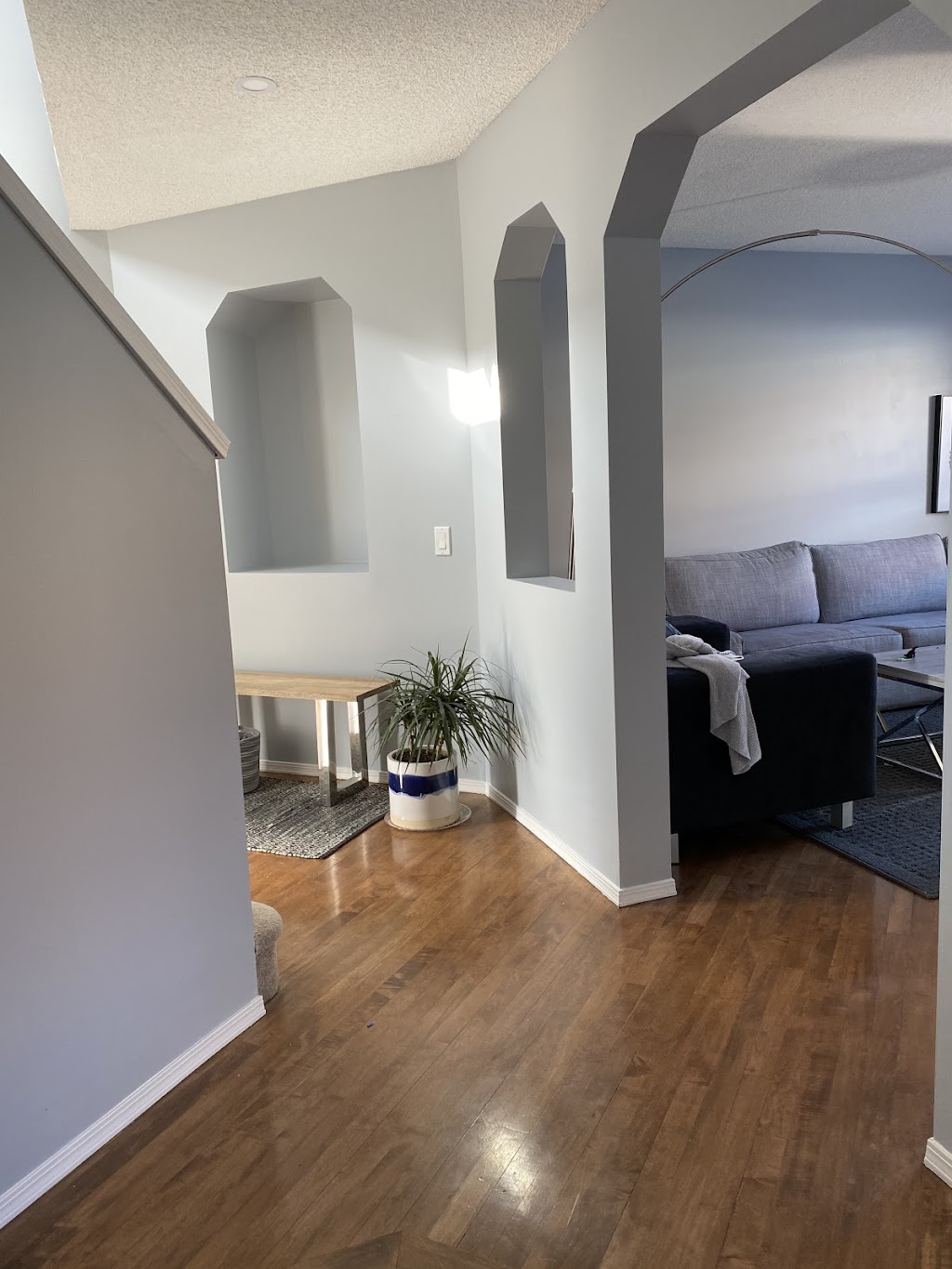 Paint Projex | 172 Tuscany Ravine Terrace NW, Calgary, AB T3L 2S7, Canada | Phone: (403) 479-4654
