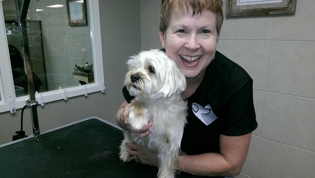Jenni-furz Gentle Grooming | 1220 Queens Bush Rd, Wellesley, ON N0B 2T0, Canada | Phone: (519) 504-5648