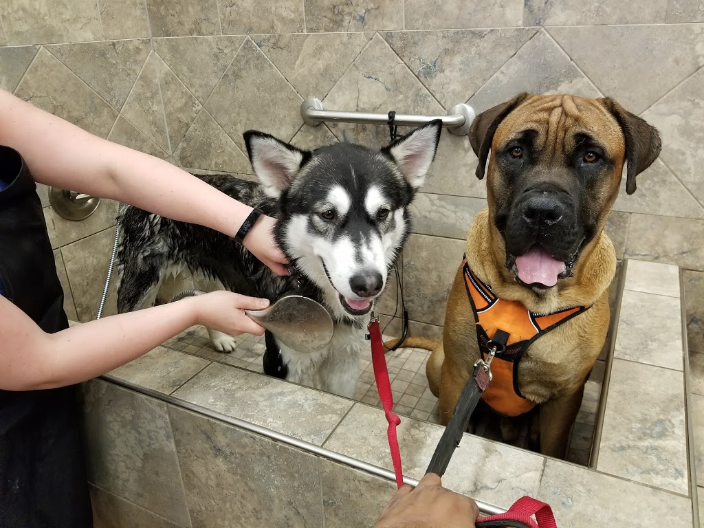 Pet Valu | 1250 Main Street North, Stittsville, ON K2S 1S9, Canada | Phone: (613) 836-6663