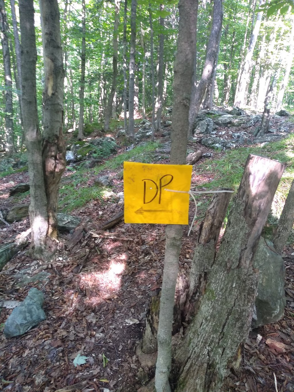 Boisé Du Phare | Mont-Bellevue, Sherbrooke, QC J1H 6B3, Canada
