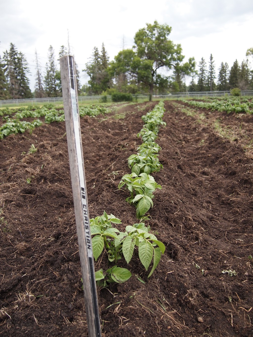 Edmonton Organic Growers Guild | 118 St NW, Edmonton, AB T6H 4P2, Canada