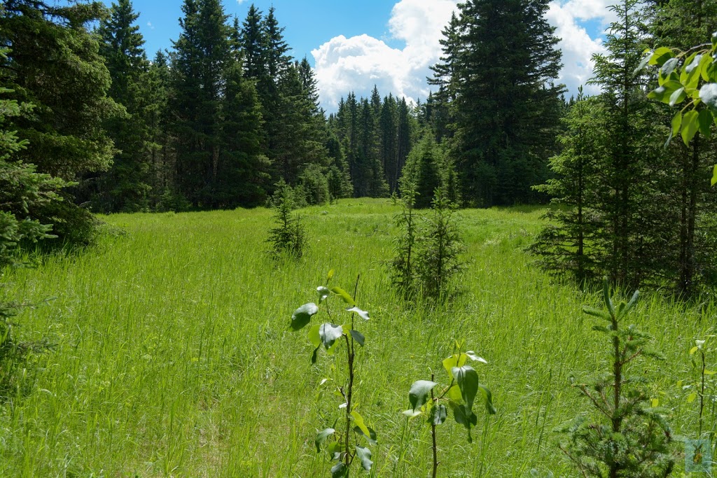 Brown - Lowery Provincial Park | Millarville, AB T0L 1K0, Canada | Phone: (403) 297-5293
