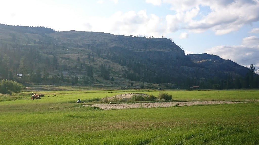 Rock Creek Riverside Campground | 1680 Hwy 33, Rock Creek Bridge, Rock Creek, BC V0H 1Y0, Canada | Phone: (250) 869-7515