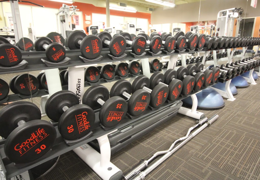 Fit4Less | 19800 Lougheed Hwy #201, Pitt Meadows, BC V3Y 2W1, Canada | Phone: (604) 460-0348