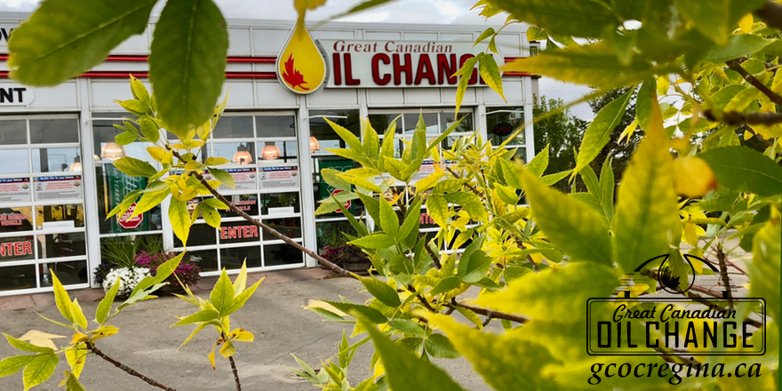 Great Canadian Oil Change - Regina Quance Street | 3115 Quance St, Regina, SK S4V 3B7, Canada | Phone: (306) 569-6000