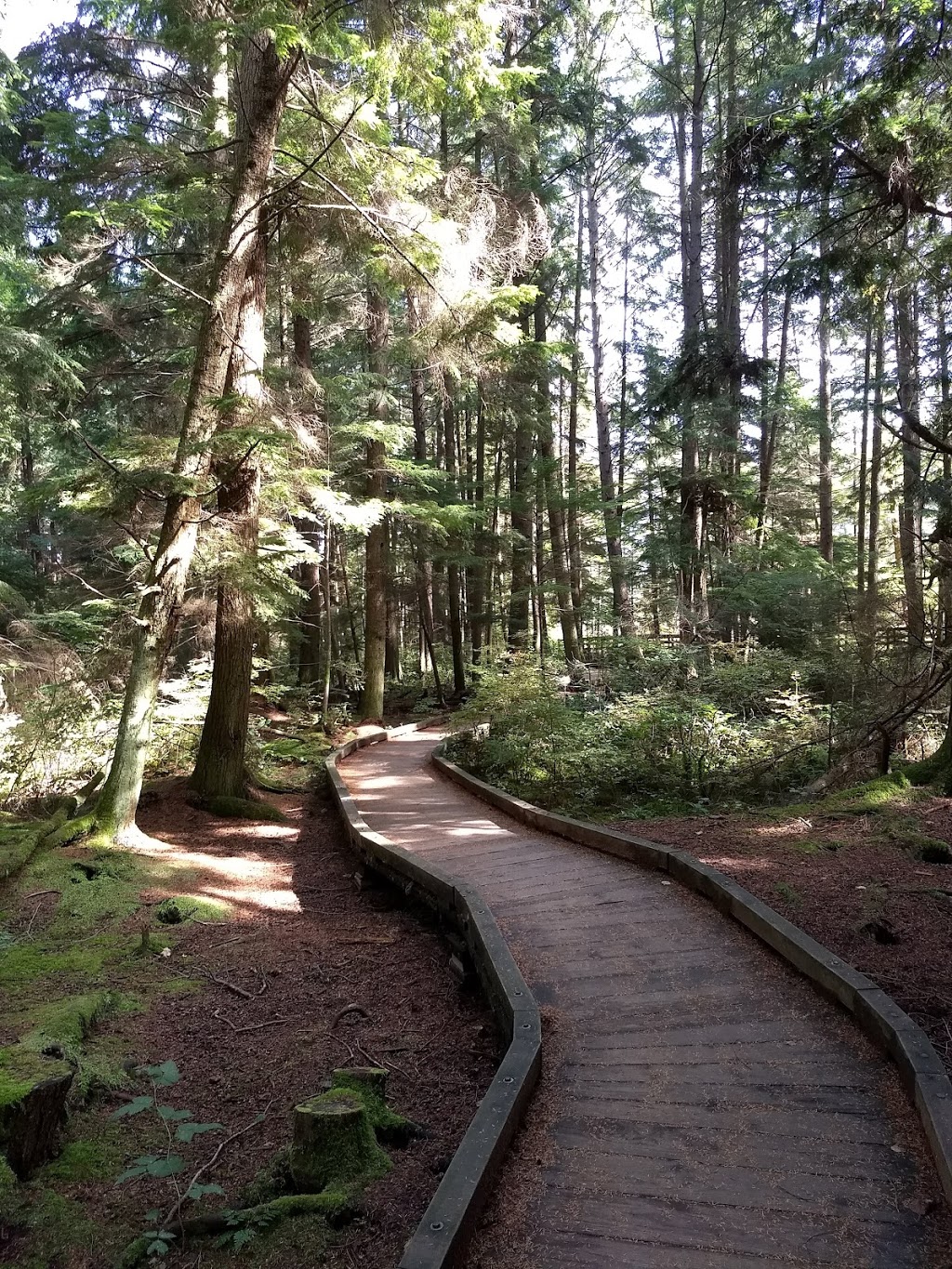 Camosun Bog | Imperial Dr, Vancouver, BC V6S, Canada