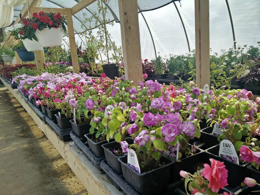 Scottys Garden Centre | Hwy 20, Lumsden, SK S0G 3C0, Canada | Phone: (306) 570-2827