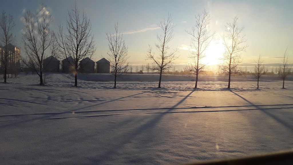 Hutterian Brethren Church Of Albion Ridge | 123018 Range Rd 215, Picture Butte, AB T0K 1V0, Canada | Phone: (403) 732-5501