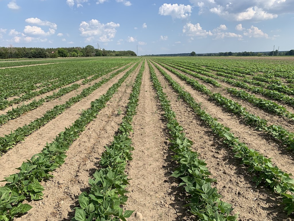 Hudsons Farm Fresh Produce | 2831 Upper Dwyer Hill Rd, Kinburn, ON K0A 2H0, Canada | Phone: (613) 839-2346