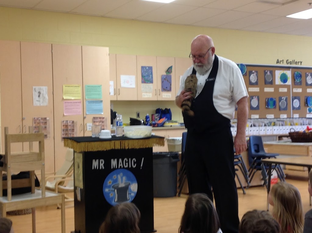 Mr Magic - Magician | 620 Springbank Dr, London, ON N6K 4V8, Canada | Phone: (226) 777-3695