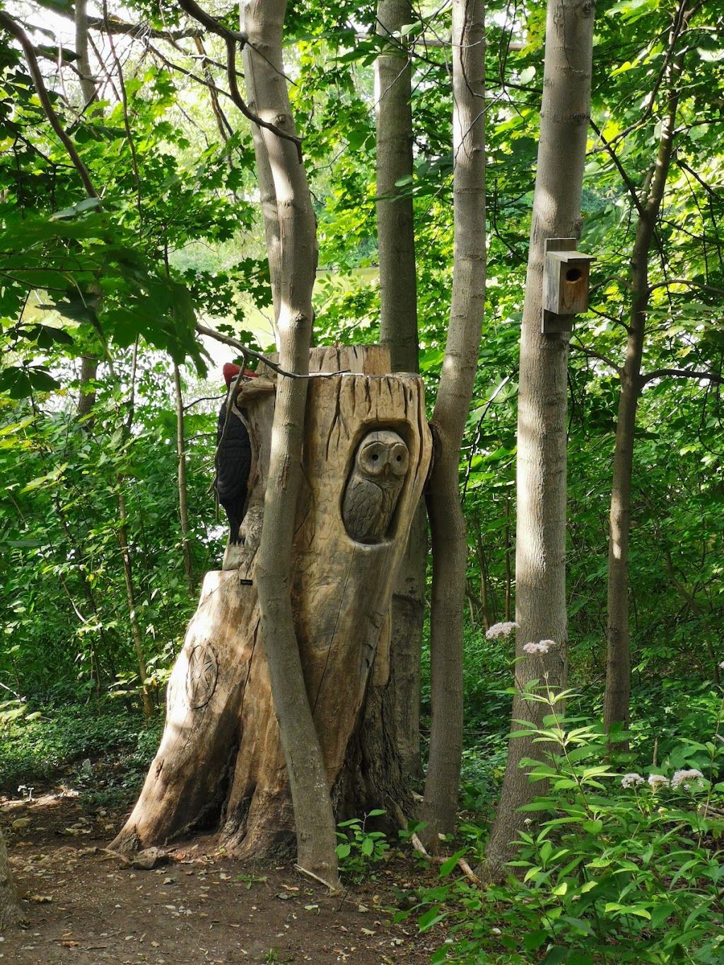 Fairy Lake Rotary Pavilion | Fairy Lake Trail, Southampton, ON N0H 2L0, Canada | Phone: (519) 832-2008