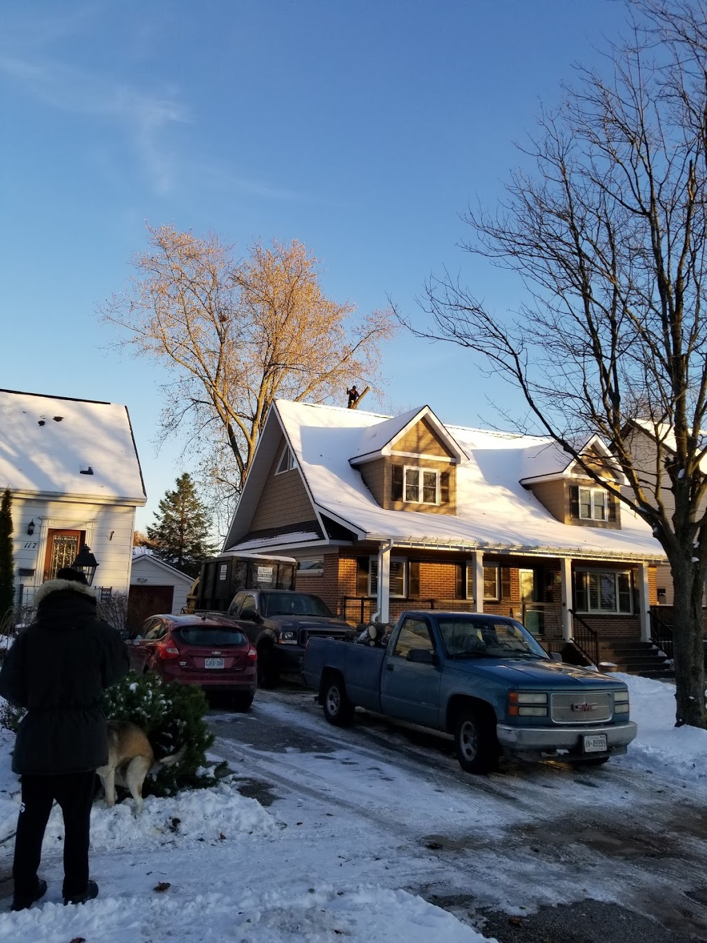 Kens Tree & Stump Removal Ltd | 320 Sunnidale Rd, Barrie, ON L4N 5P2, Canada | Phone: (705) 726-6895