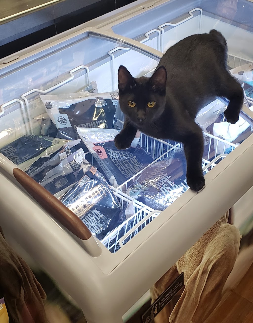 Pet Valu | 5005 Dalhousie Dr NW Unit 515, Calgary, AB T3A 5R8, Canada | Phone: (587) 353-5005