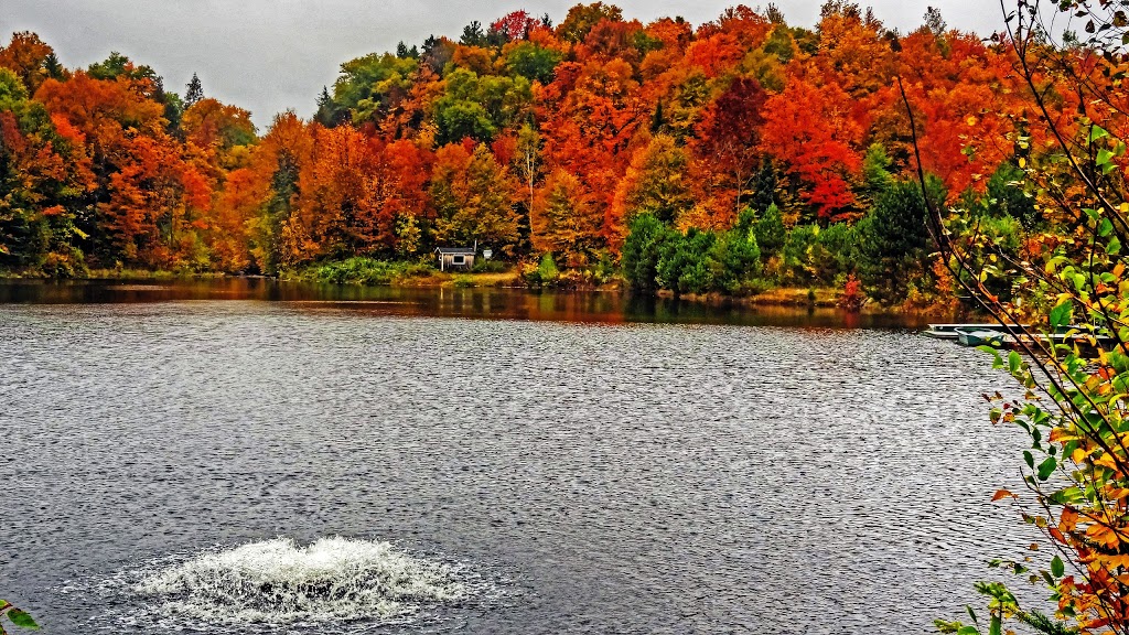 École Germain-Caron | Saint-Didace, QC J0K 2G0, Canada | Phone: (450) 758-3695