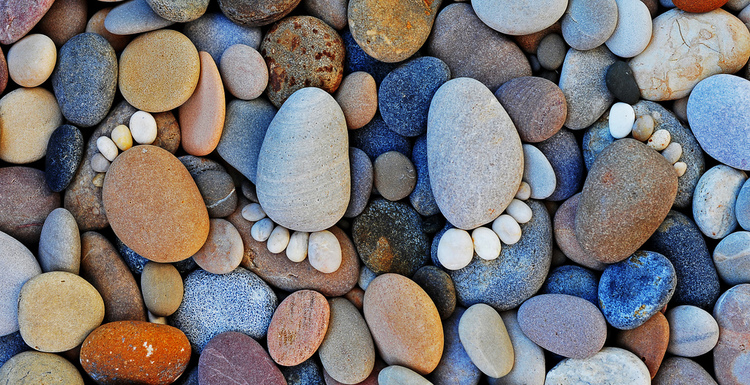 Tsawwassen Podiatrist Dr. Dixon | 218- BC V4L 2A2, 1077 56 St, Delta, BC V4L 2A2, Canada | Phone: (604) 943-4405