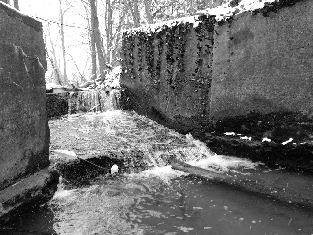 Perch Creek Habitat Area | 1838-1902 Churchill Line, Sarnia, ON N7T 7H3, Canada