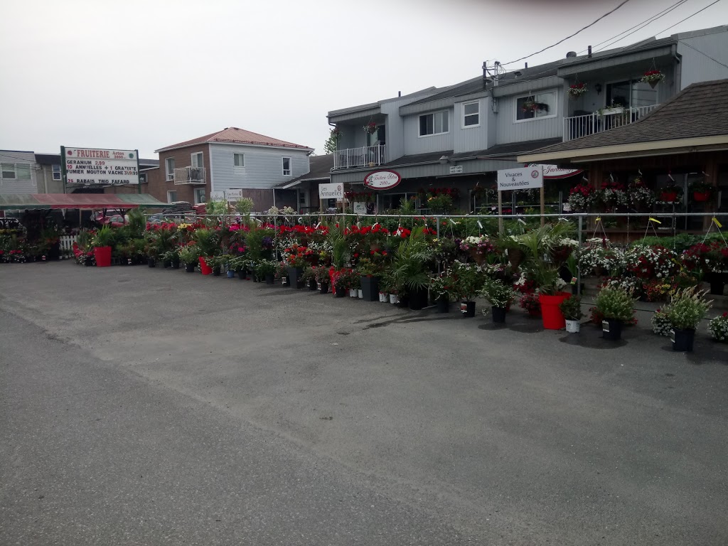Centre De Jardin & Fruiterie Acton 2000 Inc | 1455 Rue dActon, Acton Vale, QC J0H 1A0, Canada | Phone: (450) 546-2628