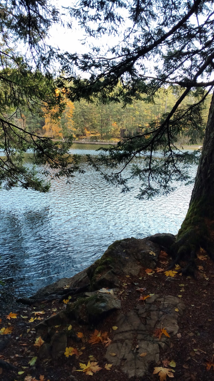 Thetis Lake Regional Park | View Royal, BC, Canada | Phone: (250) 360-3030