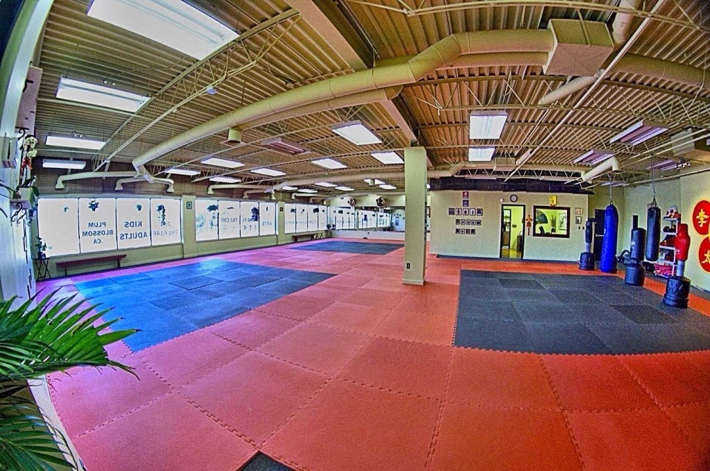 Plum Blossom Martial Arts Academy | 2989 Pembina Hwy #200, Winnipeg, MB R3T 2H5, Canada | Phone: (204) 791-6146