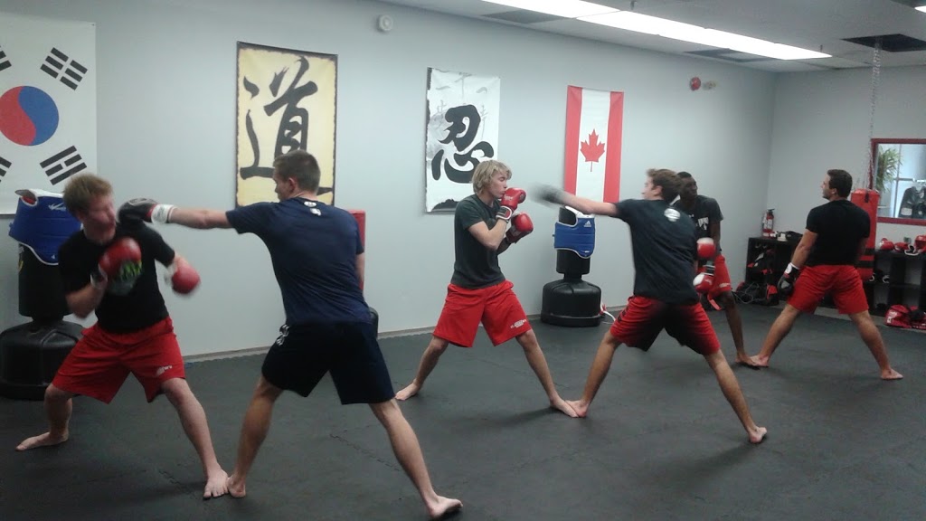 II Tigers Martial Arts | 24 Orchard Heights Blvd, Aurora, ON L4G 6T5, Canada | Phone: (905) 713-0206
