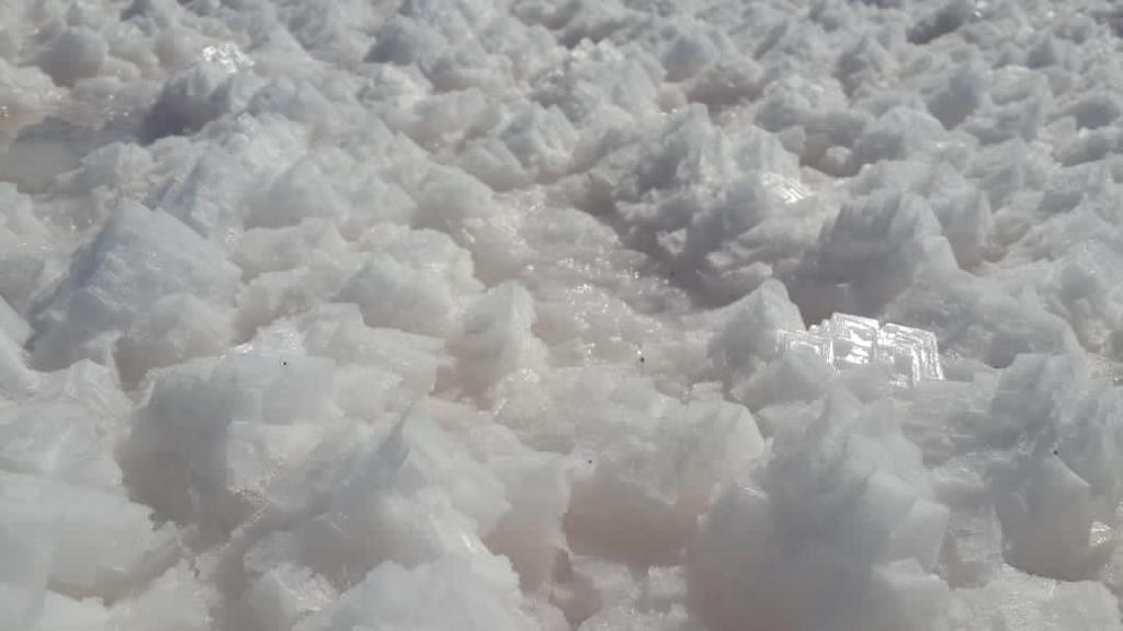 ATLANTIC OCEAN SALT INC. | 7566 Silver Creek Cresent, London, ON N6P 0G6, Canada | Phone: (226) 700-7597