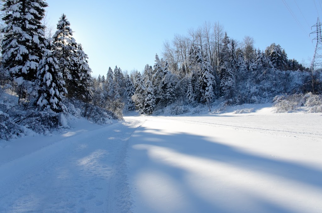 Parc de la Rivière-du-Moulin | 1577 Rue des Roitelets, Chicoutimi, QC G7H 0K8, Canada | Phone: (418) 698-3235