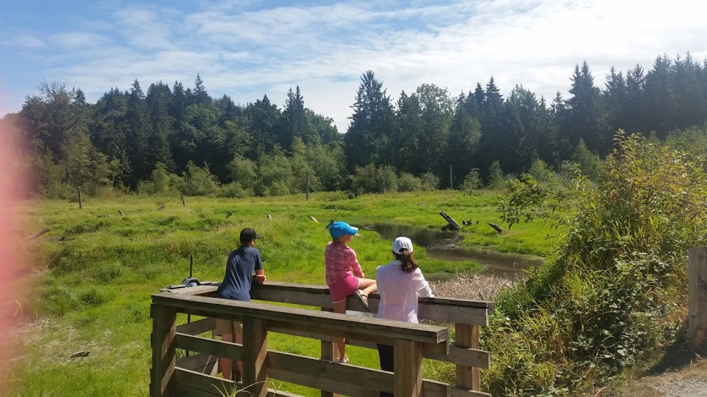 Silverdale Creek Wetlands | 31650 Silverdale Ave, Mission, BC V4S 1J8, Canada