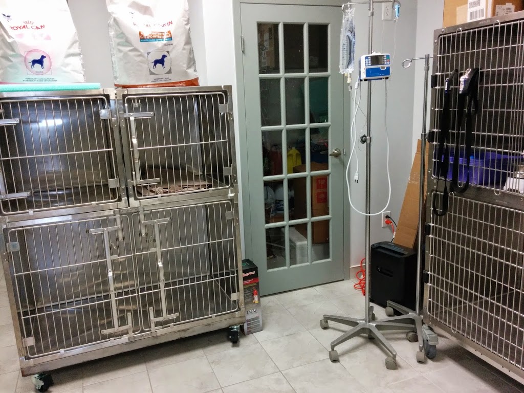 Strasburg Animal Hospital | 700 Strasburg Rd #12, Kitchener, ON N2E 2M3, Canada | Phone: (519) 569-8000