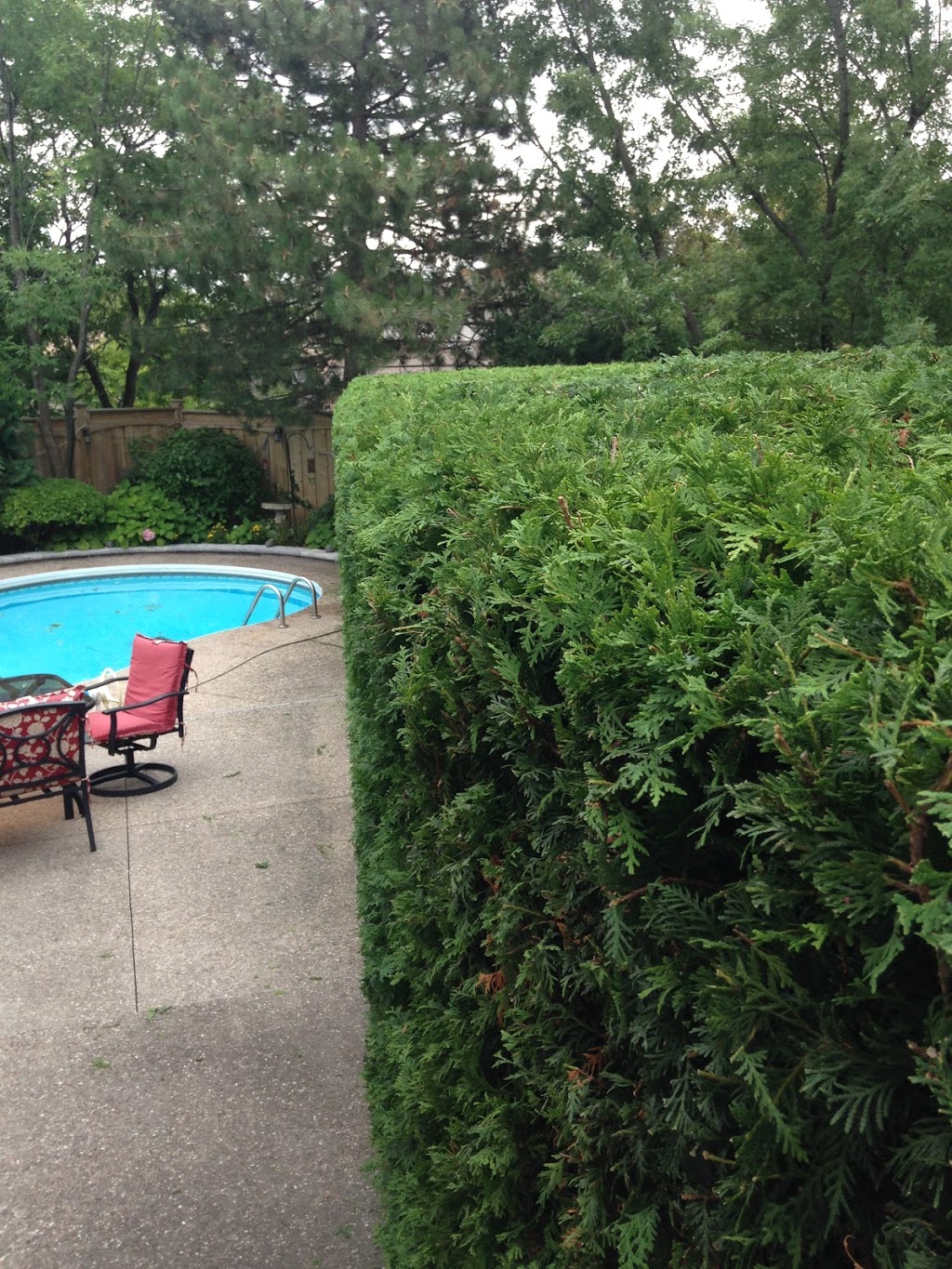 Eden Landscaping | 1371 Windham Road 2, Scotland, ON N0E 1R0, Canada | Phone: (519) 771-5855