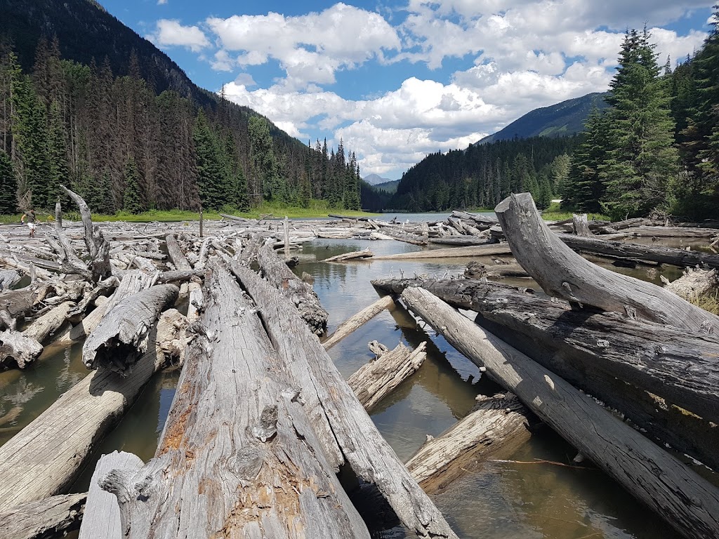 Duffey Lake Provincial Park | DArcy, BC V0N 1L0, Canada | Phone: (800) 689-9025