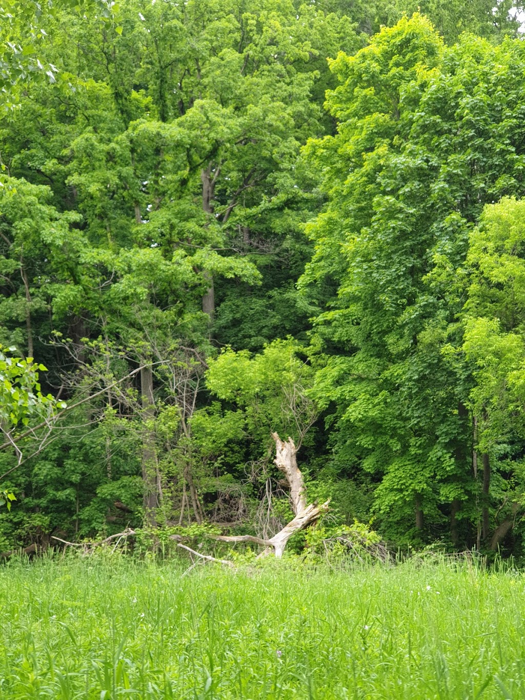 Erindale Park | Unnamed Road, Mississauga, ON L5C 2S7, Canada