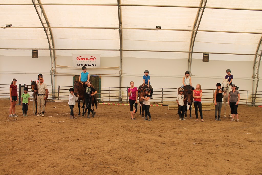 El Rancho Equestrian | 1922 County Rd 92, Elmvale, ON L0L 1P0, Canada | Phone: (705) 305-5068