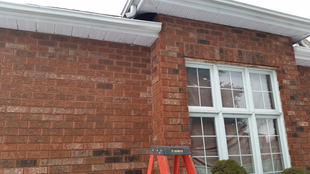 Solace Pest Solutions | 370 Herchimer Ave Unit 442, Belleville, ON K8N 4Z6, Canada | Phone: (613) 902-6333