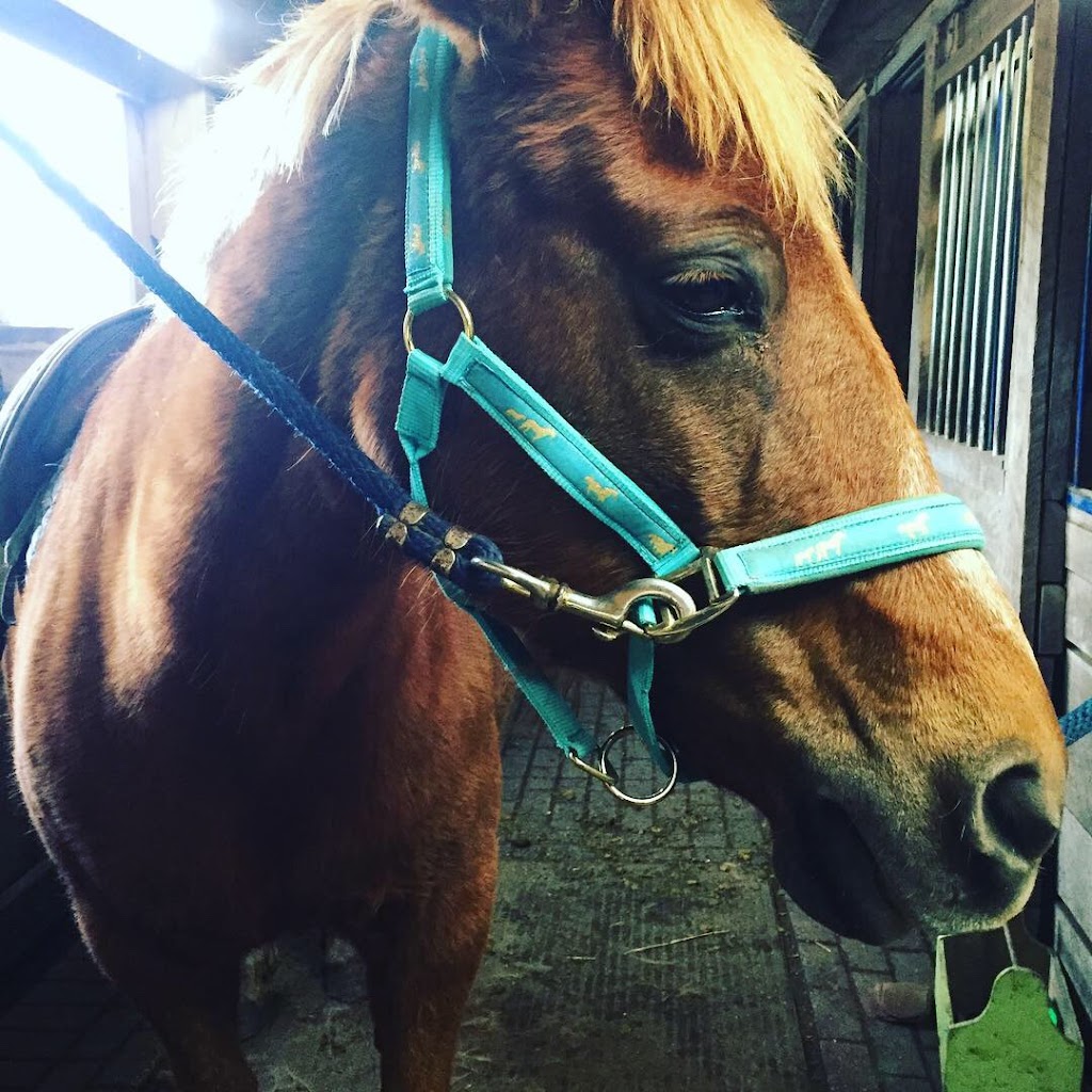 Averyhill Farm | 2859 Wilson St W, Jerseyville, ON L0R 1R0, Canada | Phone: (905) 304-0039