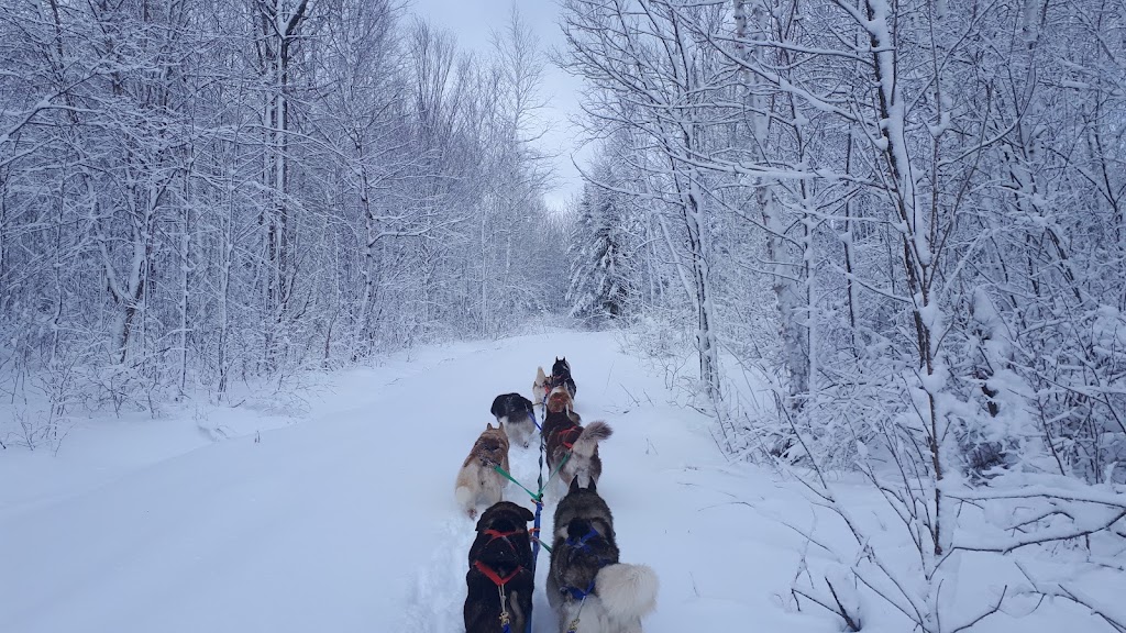 La ferme à minuit | 603 Rang 7e, Sainte-Monique, QC G0W 2T0, Canada | Phone: (418) 347-3152