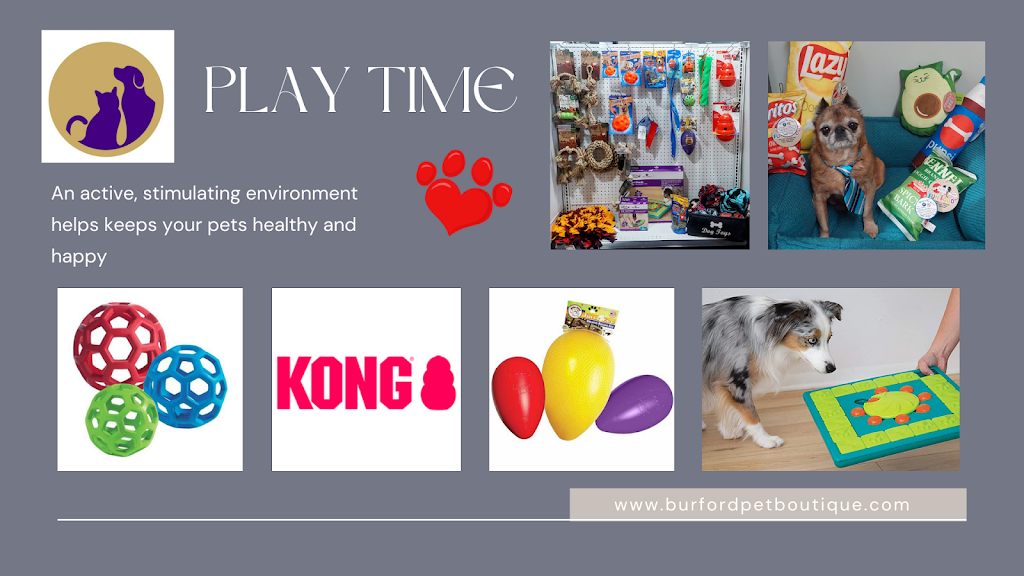 Burford Pet Boutique | 63 King St, Burford, ON N0E 1A0, Canada | Phone: (519) 449-1818