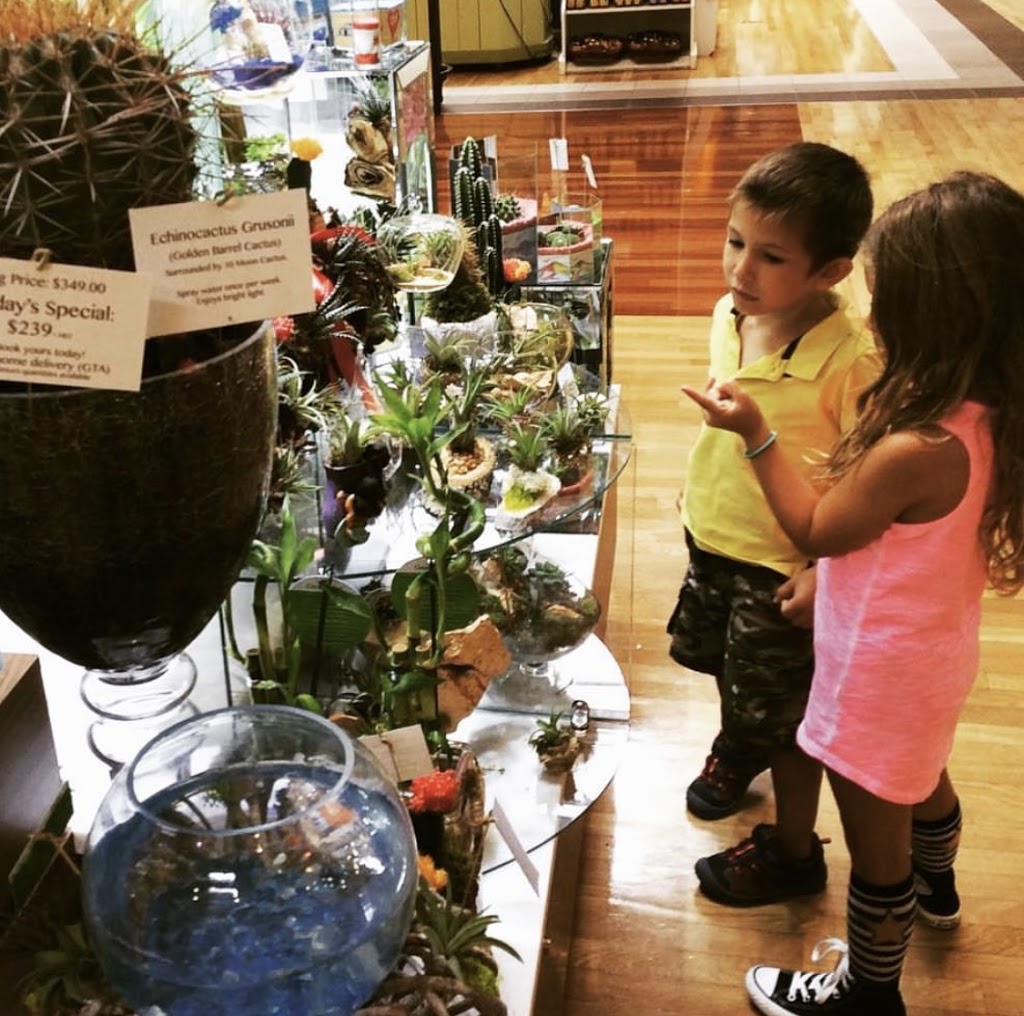 Geoponics Inc. | Indoor Plants Shop | 7125 Pacific Cir, Mississauga, ON L5T 2A5, Canada | Phone: (905) 795-2456