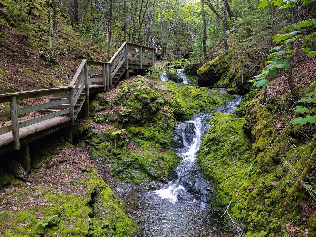 Fundy National Park Of Canada | Alma, NB, Canada | Phone: (506) 887-6000