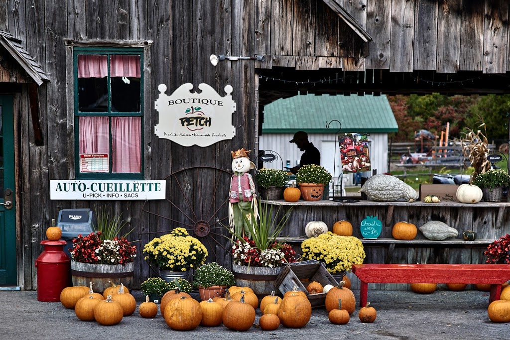 Petch Agricultural Enterprises Inc | 431 Rte 202 Ouest (West), Hemmingford, QC J0L 1H0, Canada | Phone: (450) 247-3414